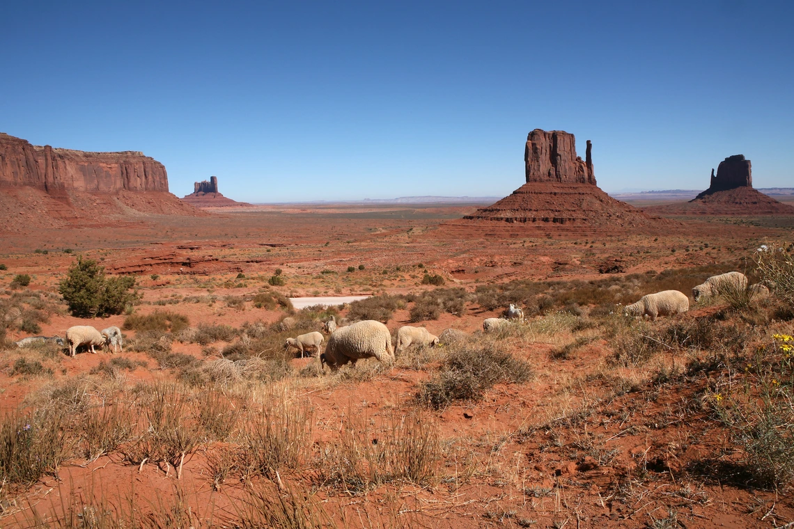 Arizona tribal agriculture generates over $750 million in total economic output, new analysis finds