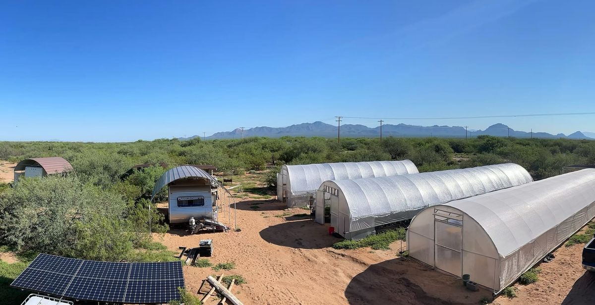 Southern Arizona farmers test new tactics against drought