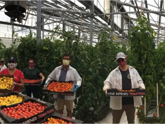 group of people holding produce