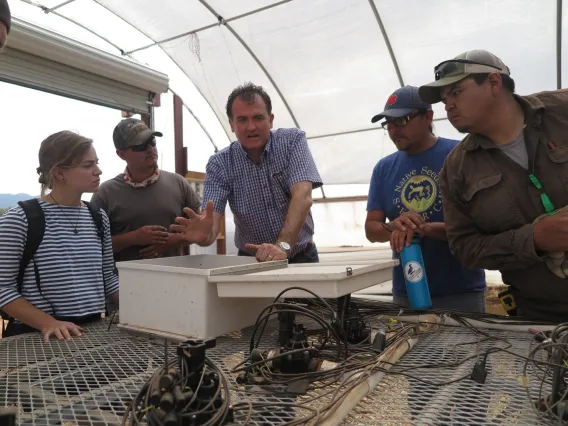 Reviewing data loggers in the hoop house at Dine' College Land Grant Office