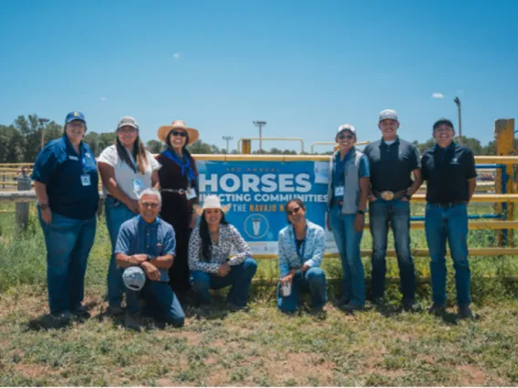 Horses Conference Team