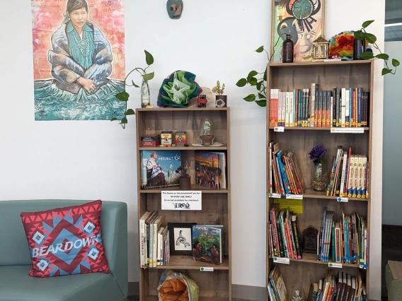 bookshelves filled with books at the IRes library