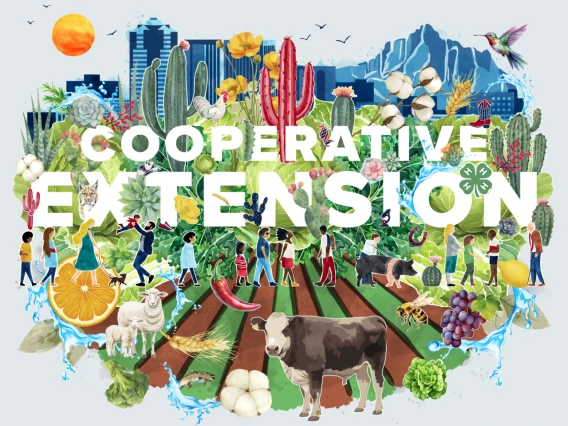 Cooperative Extension