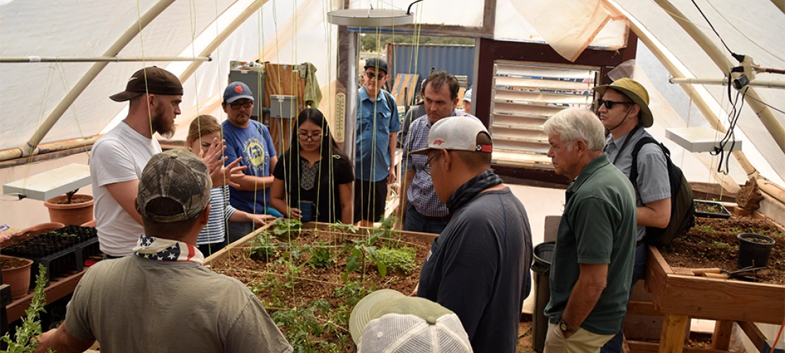 Gathering around plants