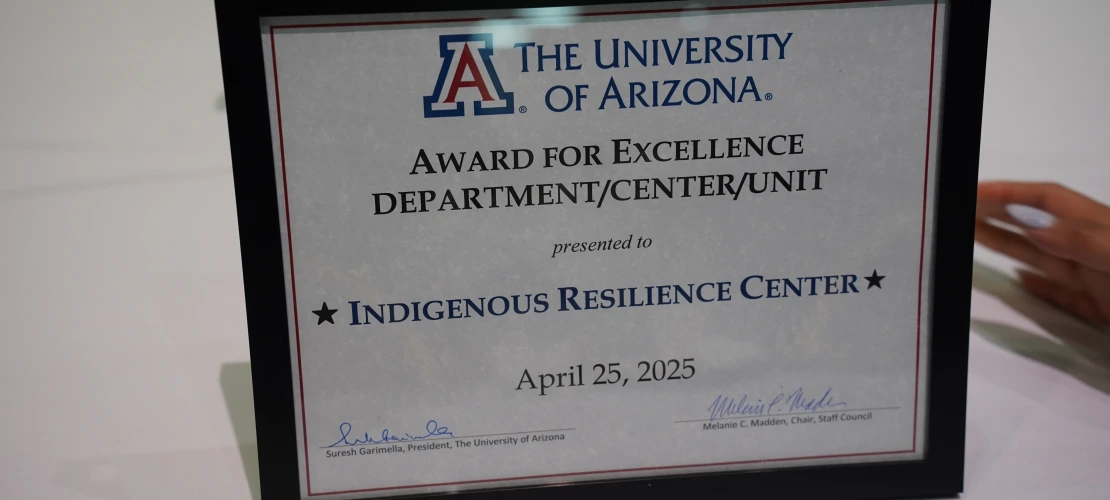 Center of Excellence Award Certificate