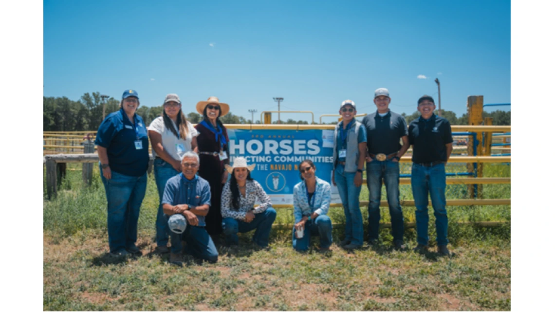 Horses Conference Team