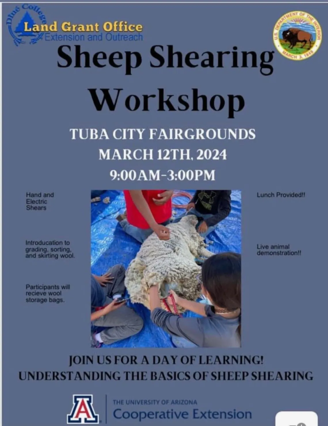 Sheep Shearing Workshop