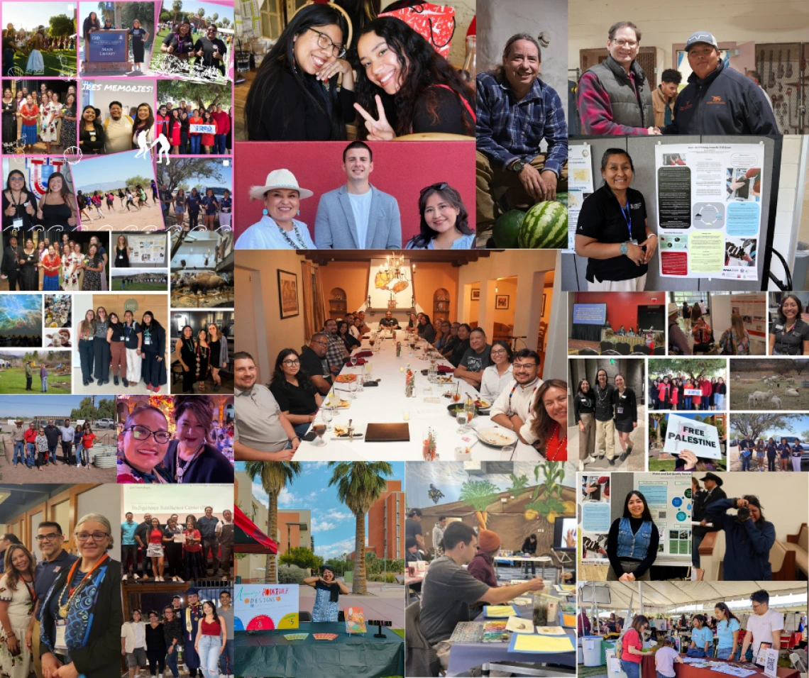 IRES Reflection Collage photo