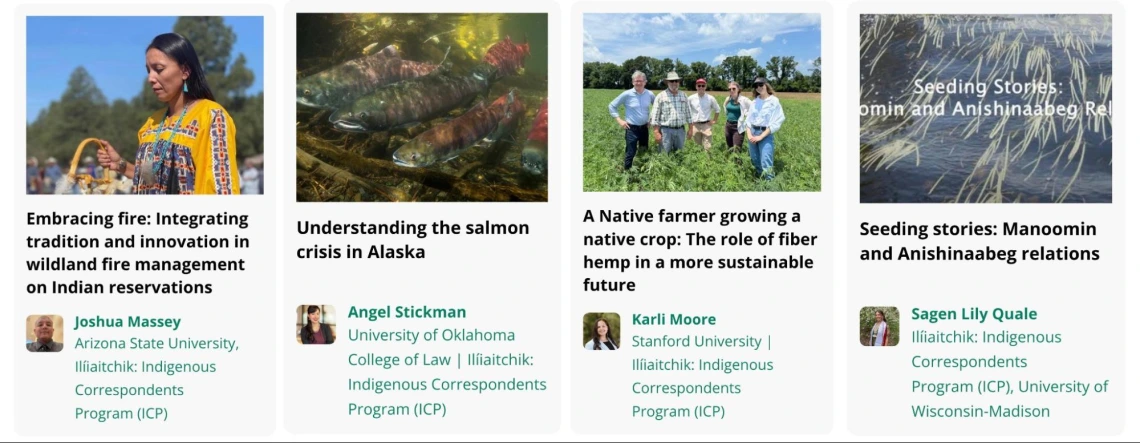 A screenshot with each of the ICP correspondents' stories that received nominations.