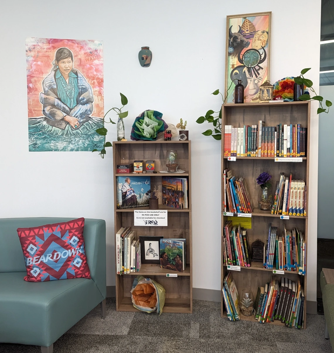 bookshelves filled with books at the IRes library