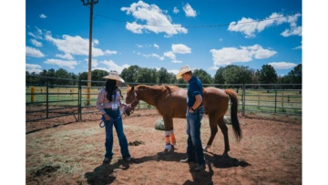 Another Horses in Community Conference pic